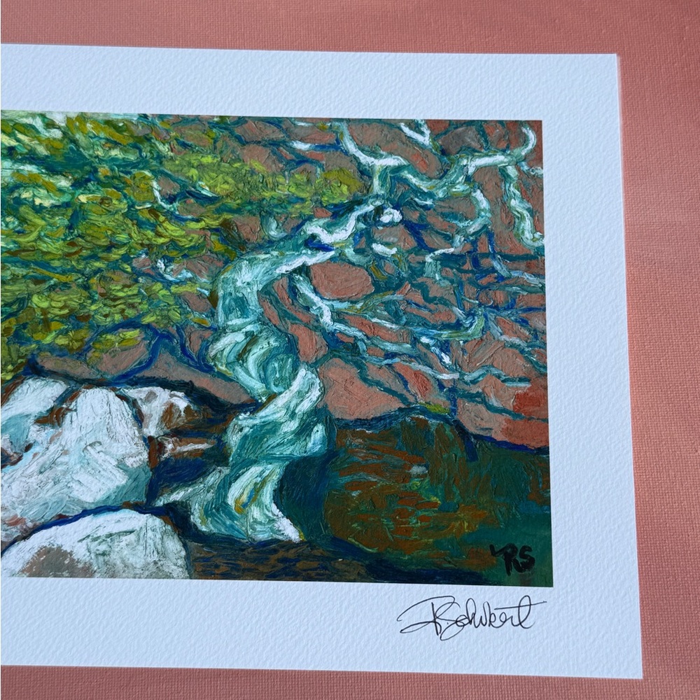 Juniper Tree Artwork, Giclee Fine Art Print, Hand Signed - Picture 5 of 8